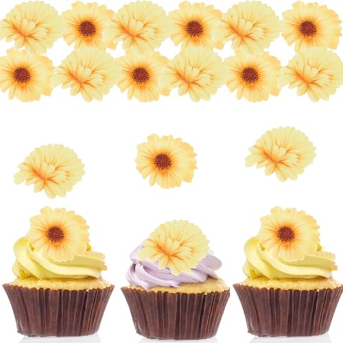 ALEGRE Essbare Blumen für Torte,48 Stück Gänseblümchen Tortendeko Blumen Essbar,Essbare Blüten Torten Deko,Kuchen Deko Blumen Essbar,Cupcake Topper Blumen,Blumen Deko Torte Essbar Geburtstag Hochzeit von ALEGRE