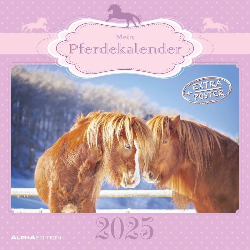 Alpha Edition - Mein Pferdekalender 2025 Broschürenkalender, 30X30cm, Wandkalender Mit Platz Für Notizen Und Termine, Schöne Pferde-Motive, Monatsüber von ALPHA