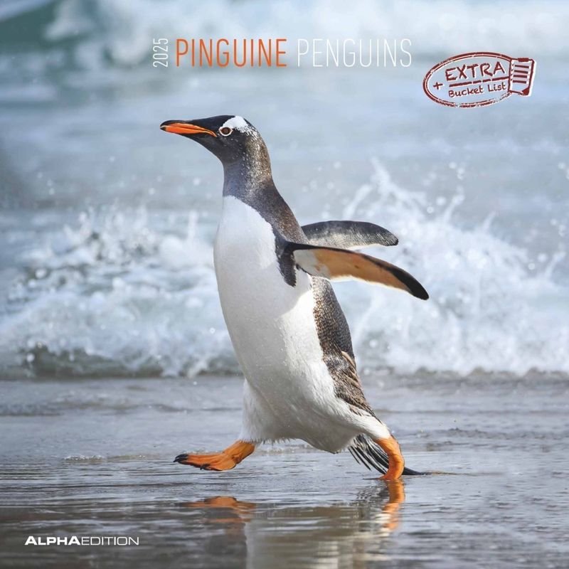 Alpha Edition - Pinguine 2025 Broschürenkalender, 30X30cm, Wandkalender Mit Platz Für Notizen Und Termine, Motive Von Süßen Pinguinen, Monatsübersicht von ALPHA