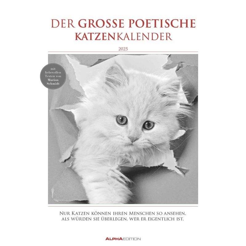 Alpha Edition - Der Große Poetische Katzenkalender 2025 Bildkalender, 29,7X42cm, Kalender Mit Poetischen Texten Von Marion Schmidt, Hochwertige Bilder von ALPHA