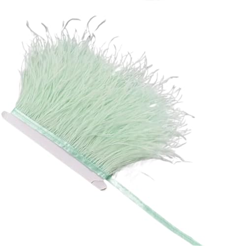 AMENGJ Federschmuck zum Nähen 1 Meter Federn auf Band 10-15 cm Feder Quaste Fransenbesatz Nähen Flecos Handarbeiten Kleidung Dekoration(Light Mint Green) von AMENGJ