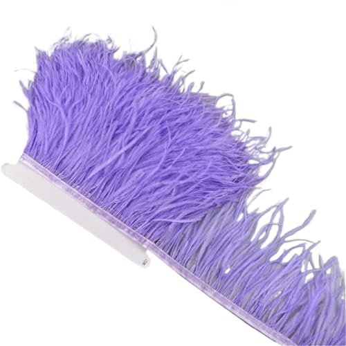 AMENGJ Federschmuck zum Nähen 1 Meter Federn auf Band 10-15 cm Feder Quaste Fransenbesatz Nähen Flecos Handarbeiten Kleidung Dekoration(Light Purple) von AMENGJ