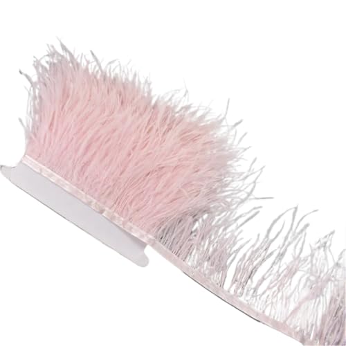 AMENGJ Federschmuck zum Nähen 1 Meter Federn auf Band 10-15 cm Feder Quaste Fransenbesatz Nähen Flecos Handarbeiten Kleidung Dekoration(Light pink) von AMENGJ