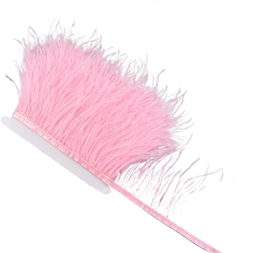 AMENGJ Federschmuck zum Nähen 1 Meter Federn auf Band 10-15 cm Feder Quaste Fransenbesatz Nähen Flecos Handarbeiten Kleidung Dekoration(Pink) von AMENGJ