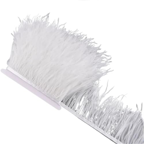 AMENGJ Federschmuck zum Nähen 1 Meter Federn auf Band 10-15 cm Feder Quaste Fransenbesatz Nähen Flecos Handarbeiten Kleidung Dekoration(White) von AMENGJ