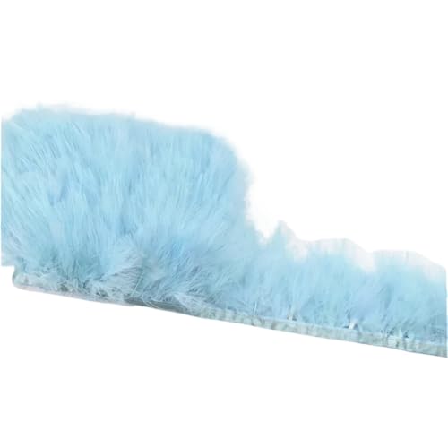 AMENGJ Federschmuck zum Nähen 1 Meter Flauschige Federn Quaste Fransen Feder auf Band Borte Band Handwerk Hochzeit Dekoration Dekor(Light Blue) von AMENGJ