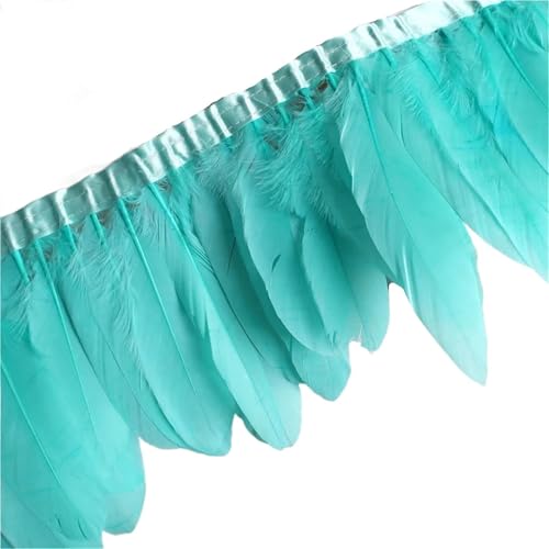 AMENGJ Federschmuck zum Nähen 10 Meter Feder Fringe Band Handwerk Zubehör Federn Trimmt Plumas Kleid Dekoration(Color 13) von AMENGJ