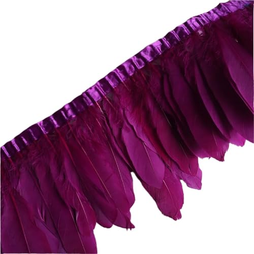 AMENGJ Federschmuck zum Nähen 10 Meter Feder Fringe Band Handwerk Zubehör Federn Trimmt Plumas Kleid Dekoration(Color 5) von AMENGJ