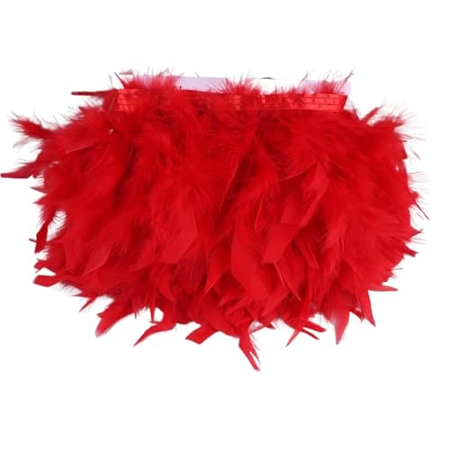 AMENGJ Federschmuck zum Nähen 10 Meter Feder Trim Fringe 10-15CM Federn Band Handwerk Kleidung Kleid Nähen Plumes Dekoration(Red) von AMENGJ