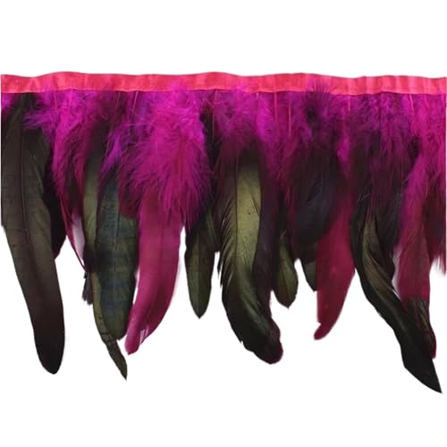 AMENGJ Federschmuck zum Nähen 10 Meter Federn Quaste Fringe Trim auf Band Feder Kleidung Band Nähen Garnituren Zubehör(Color 2) von AMENGJ