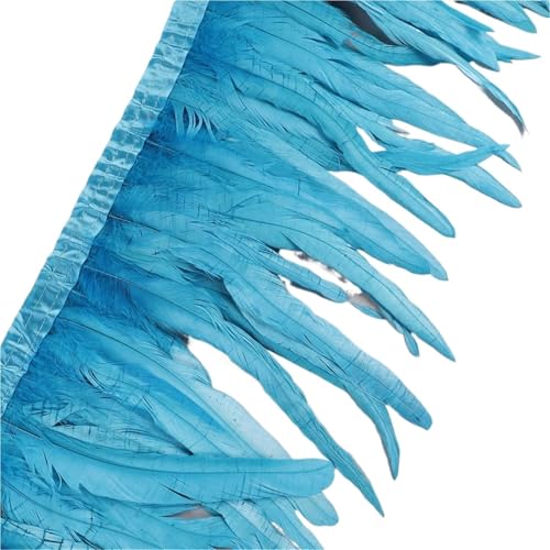 AMENGJ Federschmuck zum Nähen 25-30cm Federbesatz Federn Borte Federband Kleid Rock Dekoration(Color 5,10 Yards) von AMENGJ