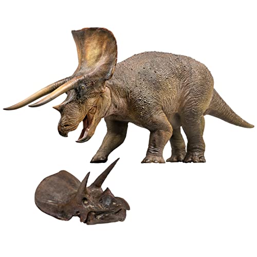 AMITD Dinosaur Museums Series 1:35 Triceratops Doyle Figure Scientific Art Model Collector Decoration Gift AMITD Dinosaur Museums Series 1:35 Triceratops Doyle Figure Scientific Art Model Collector Decoration Gift von AMITD