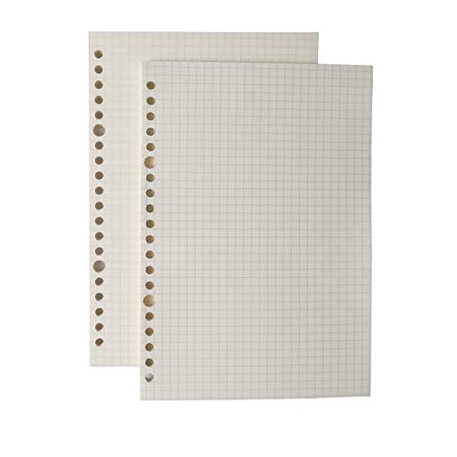 AMO HERMOSO 2 Packungen A5 Kariert Refill Papier für Spiralblock Notizblock, Kariert, Subject Notebook Squared Paper, 80gsm, 120 Blatt, 240 Seiten 20 Holes von AMO HERMOSO