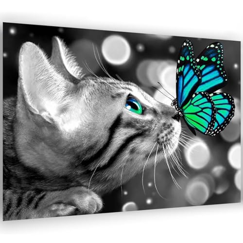 Katze Diamant Painting Schmetterling Tier,5D Diamond Painting Erwachsene Kinder Bilder Malerei Set Full,Mosaikherstellung f¨¹r Erwachsene,Home Wand D¨¦cor (30x40cm) von ANHEXUAN