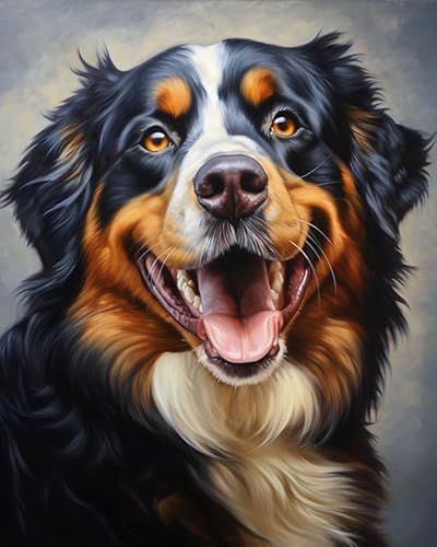 ANSIWEIGO DIY-Acrylfarben-Set für Leinwand,Berner Sennenhund mit Tiermotiv,Malen-nach-Zahlen-Set für Anfänger und ideal als Heimdekoration,40x50 cm,ohne Rahmen von ANSIWEIGO