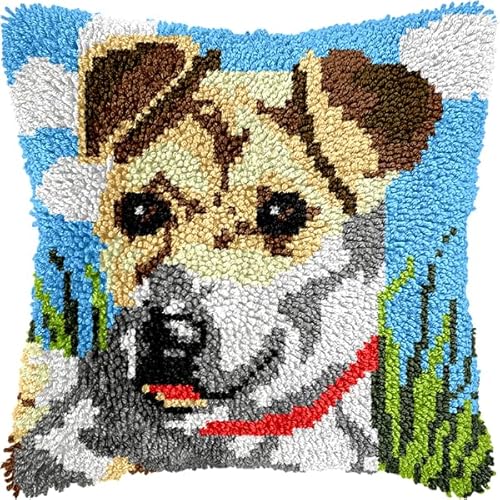 ANSIWEIGO Knüpfhaken-Set für Erwachsene und Anfänger,Labrador Retriever,DIY-Kissen-Stickset mit allen Materialien und Werkzeugen,perfekt für Anfänger,Heimdekoration und Geschenke,43x43 cm von ANSIWEIGO