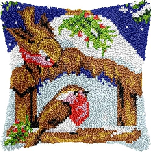 ANSIWEIGO Knüpfhaken-Set für Erwachsene und Anfänger,Vogel-Iglu,DIY-Kissen-Stickset mit allen Materialien und Werkzeugen,perfekt für Anfänger,Heimdekoration und Geschenke,43x43 cm von ANSIWEIGO