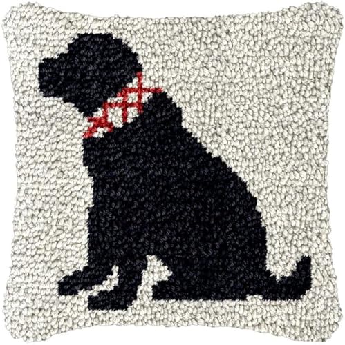 ANSIWEIGO Knüpfkissenbezug-Set mit Hund auf beigem Hintergrund für Erwachsene und Anfänger,DIY-Kissen,Kreuzstich-Knüpfteppich-Set mit vorgedruckter Leinwand,Häkelgarn-Set,Handarbeitshandwerk,43x43 cm von ANSIWEIGO