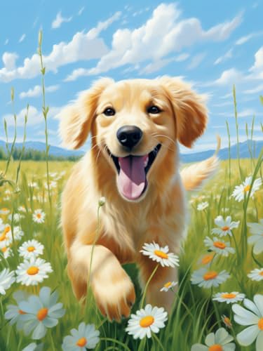 ANSIWEIGO Malen nach Zahlen 40x50 cm ohne Rahmen Entspannung und Kreativität kombiniert Heimdekoration für alle Jahreszeiten–Glücklicher Golden Retriever von ANSIWEIGO