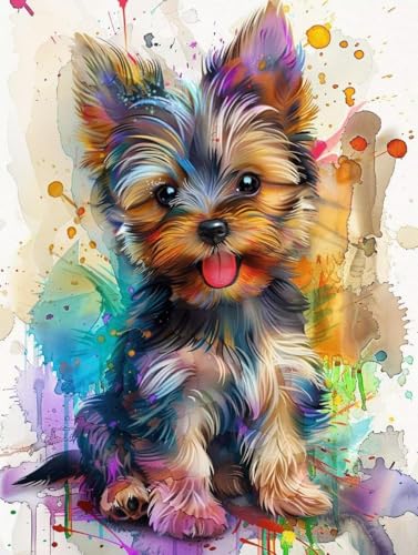 ANSIWEIGO Malen nach Zahlen Erwachsene,DIY Ölgemälde Kit mit 3 Pinseln und Acrylfarben,Leinwand ohne Falten,40x50 cm,Kein Rahmen - Yorkshire-Terrier von ANSIWEIGO