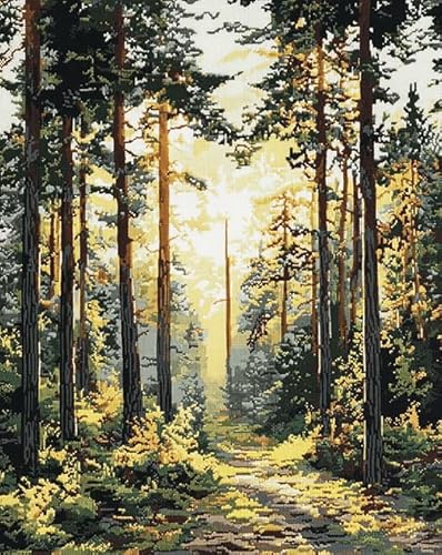 ANSIWEIGO Malen-nach-Zahlen-Set für Erwachsene – Waldlandschaft,Sonnenlicht scheint durch den Wald – Rahmenloses Acryl-Leinwand-Malset,15,7 x 19,7 Zoll – Perfekt als Heimdekoration und Geschenk von ANSIWEIGO