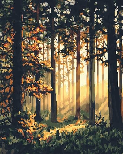 ANSIWEIGO Malen nach Zahlen-Set zum Selbermachen – Waldlandschaft,Sonnenlicht scheint durch den Wald – Ölgemälde in Farben als Dekoration für Zuhause,40x50 cm,Leinwand,ohne Rahmen von ANSIWEIGO