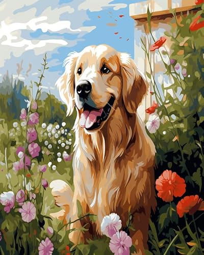 ANSIWEIGO Malen nach Zahlen für Erwachsene mit Hund,entspannendes DIY-Kunstset mit Golden Retriever im Garten,perfekte Wanddekoration für Hundeliebhaber,40x50 cm von ANSIWEIGO