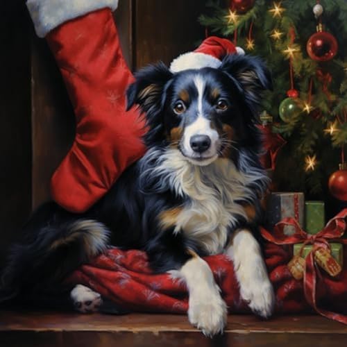 ANSIWEIGO Malen nach Zahlen für Kinder im Alter von 8–12 Jahren,Weihnachtsstrümpfe und Hund,digitale Ölgemälde-Kunstwerke,bereichern Sie Ihr Leben,40x50 cm,Ohne Rahmen von ANSIWEIGO