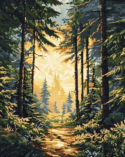 Malen nach Zahlen für Erwachsene,Waldlandschaft,Sonnenlicht scheint durch den Wald,Acryl-Malset auf Leinwand,rahmenloses DIY-Bastelprojekt für die Inneneinrichtung,enthält Pinsel,Farben,40x50 cm von ANSIWEIGO