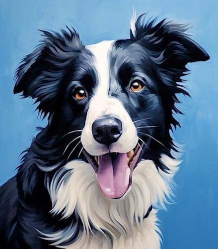 Malen nach Zahlen für Erwachsene und Anfänger,Border Collie im Ölgemälde-Stil,Einfache Ölgemälde-Sets zum Selbermachen,Geschenke für Hundeliebhaber,Haustier-Hundegemälde auf Leinwand,40x50 cm von ANSIWEIGO