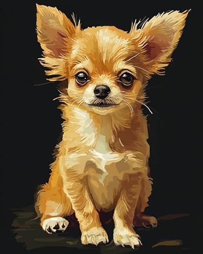 Malen nach Zahlen für Erwachsene und Anfänger,Tier-Chihuahua-Hund,Malen-nach-Zahlen-Sets für Erwachsene,Malsets auf Leinwand,Geschenke,Kunsthandwerk für die Heimdekoration,40x50 cm,mit Rahmen von ANSIWEIGO