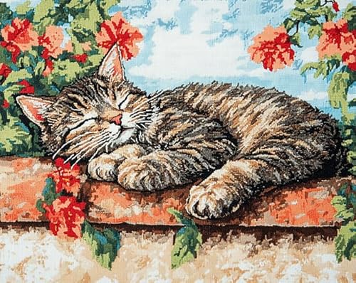 Malen nach Zahlen zum Selbermachen für Erwachsene – Landschaft,schlafende Katze auf der Fensterbank – Leinwand-Malset mit Acrylfarben,Bastelset für Entspannung und Familienspaß,40x50 cm,ohne Rahmen von ANSIWEIGO