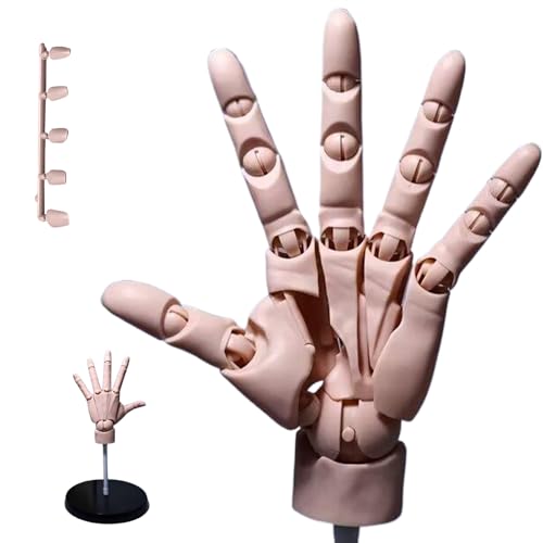 AOpghY Handmodell 1: 1 artikulierte Schaufensterpuppenhandschuhgelenk -Manikin -Hand mit Basis -DIY -PVC -Handmodell zum Zeichnen, Malerei, Teint DIY Handgefertigte Konstruktionsmittelzubehör von AOpghY