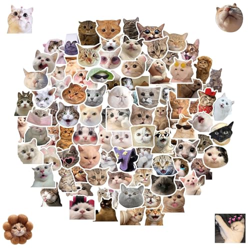 Katzen Aaufkleber, Lustige Meme Sticker Set, Wasserfeste Meme Aufkleber für Auto Laptop Skateboard Fahrrad Moped Motorrad Fahrrad Computer, Geeignet für Erwachsene Kinder (100 pcs) von AQCQDQ