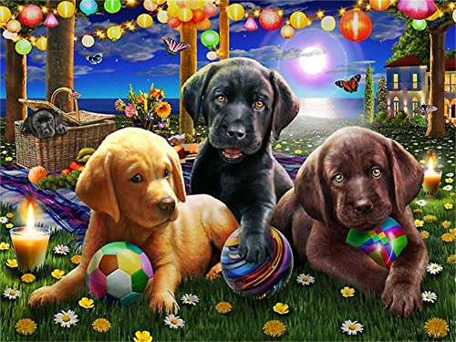 5D Diamond Painting Full Set Fußball-Baby-Hund 20x25cm DIY Malen nach Zahlen Diamant Malerei Kit DIY Kreuzstich Diamant Gemälde Stickerei Diamant Painting Bilder Kunst Handwerk Dekoration von AREPAS