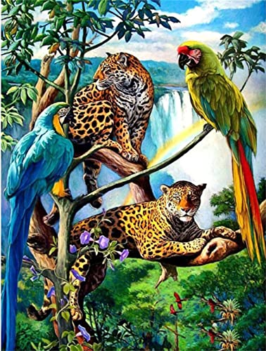 DIY Diamant Gemälde Malen Nach Zahlen Kits Leopard-Wasserfall-Papagei 30x40cm Diamond Painting Bilder, 5D Diamant Painting Kit, Vollbohrer Kristall Strass Stickerei Mosaik Gemälde für Wand Dekoration von AREPAS