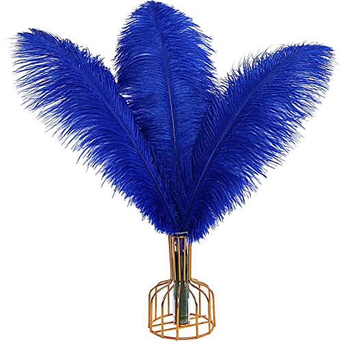 Blaue Straußenfedern, groß, natürlich, 40 cm - 45 cm, für Hochzeit, Party, Tafelaufsatz, Halloween und Heimdekoration, Federn, 12 Stück Blaue Straußenfedern, groß, natürlich, 40 cm - 45 cm, für Hochzeit, Party, Tafelaufsatz, Halloween und Heimdekoration, Federn, 12 Stück von ASKFNASDKMFN