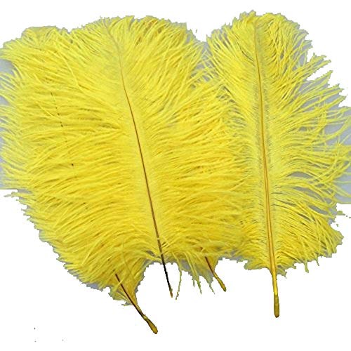 Straußenfedern, natürlich, 19,8–24,9 cm, für Hochzeit, Dekoration, Gelb, 10 Stück Straußenfedern, natürlich, 19,8–24,9 cm, für Hochzeit, Dekoration, Gelb, 10 Stück von ASKFNASDKMFN