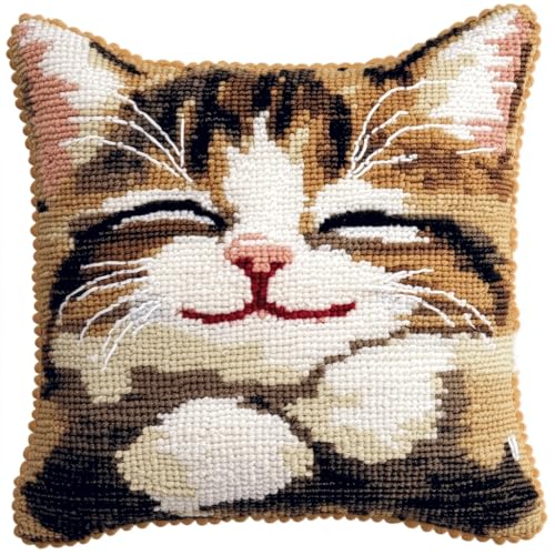 ASONGLINGO Latch Hook Cushion Set, Latch Cushion Set for Beginners Adults, DIY Knüpfteppiche & Knüpfkissen 43x43cm(Süße Katze) von ASONGLINGO