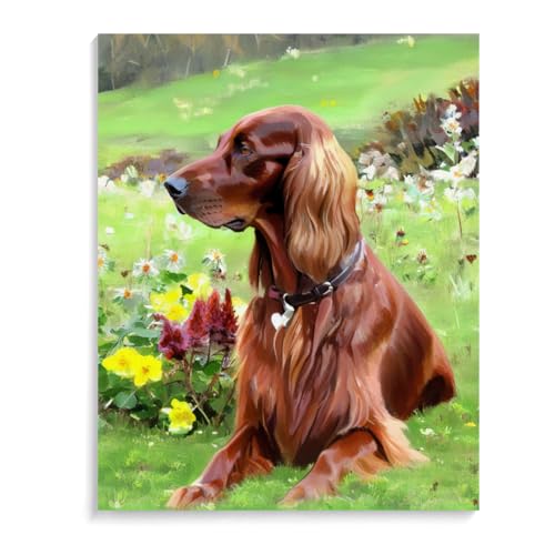 5D Diamond Painting Irish Setter-Hund DIY Diamant Malerei Malen Nach Zahlen, Crystal Strass Stickerei Cross Malerei Kits für Home Wall Decor 20 x 24 Zoll (50 x 60 cm) Rahmenlos von ASSKQMY