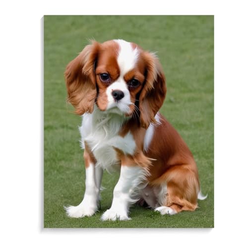 DIY 5D Diamant Painting Set Cavalier King Charles Spaniel Hund Diamond Painting kristall Strass Diamant Stickerei gemälde für wohnkultur 30 x 40 cm (12 x 16 Zoll) Rahmenlos von ASSKQMY