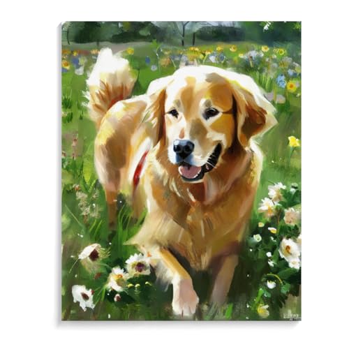 Diamond Painting Golden Retriever-Hund DIY 5d Diamant Painting Diamant malerei Kits Malen nach Zahlen wohnzimmer bilder für die Inneneinrichtung 20 x 24 Zoll (50 x 60 cm) Rahmenlos von ASSKQMY