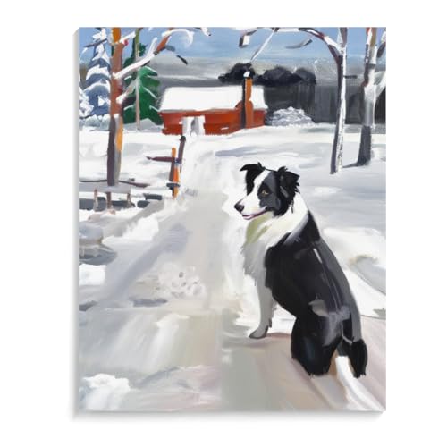 Malen Nach Zahlen Border Collie Hund DIY Paint by Numbers DIY Handgemalt Ölgemälde Kits für Anfänge Malen Nach Zahlen Geschenke Kits 20 x 24 Zoll (50 x 60 cm) Rahmenlos von ASSKQMY