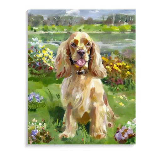 Malen Nach Zahlen Cocker Spaniel-Hund DIY Paint by Numbers DIY Handgemalt Ölgemälde Kits für Anfänge Malen Nach Zahlen Geschenke Kits 40 x 50 cm (16 x 20 Zoll) Rahmenlos von ASSKQMY