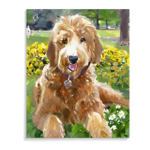 Malen Nach Zahlen Goldendoodle-Hund DIY Paint by Numbers DIY Handgemalt Ölgemälde Kits für Anfänge Malen Nach Zahlen Geschenke Kits 30 x 40 cm (12 x 16 Zoll) Rahmenlos von ASSKQMY