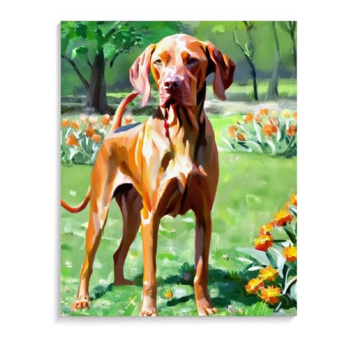 Malen Nach Zahlen Vizsla-Hund DIY Paint by Numbers DIY Handgemalt Ölgemälde Kits für Anfänge Malen Nach Zahlen Geschenke Kits 20 x 24 Zoll (50 x 60 cm) Rahmenlos von ASSKQMY