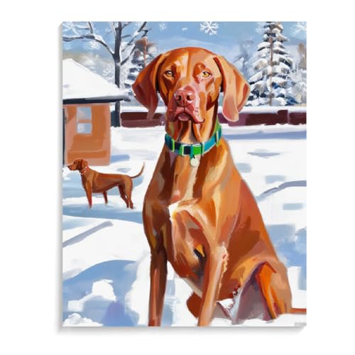 Malen Nach Zahlen Vizsla-Hund DIY Paint by Numbers DIY Handgemalt Ölgemälde Kits für Anfänge Malen Nach Zahlen Geschenke Kits 30 x 40 cm (12 x 16 Zoll) Rahmenlos von ASSKQMY