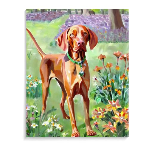 Malen Nach Zahlen Vizsla-Hund DIY Paint by Numbers DIY Handgemalt Ölgemälde Kits für Anfänge Malen Nach Zahlen Geschenke Kits 30 x 40 cm (12 x 16 Zoll) Rahmenlos von ASSKQMY