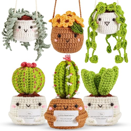 ASTNIC Häkelset für Anfänger,6 Stück Hängende Topfpflanze Cactus Häkeln Starter Kit Erwachsene mit Anleitung, für DIY-Handarbeiten mit Häkelnadeln, Garn, Füllung, Handnähnadel, Stichmarkern von ASTNIC