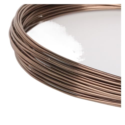 ASZHQUXIUAS Aluminiumdraht Gauge Craft Wire, 10M Aluminiumdraht Weicher DIY-Schmuckhandwerk Vielseitiger lackierter Aluminiummetalldraht(Brown) von ASZHQUXIUAS